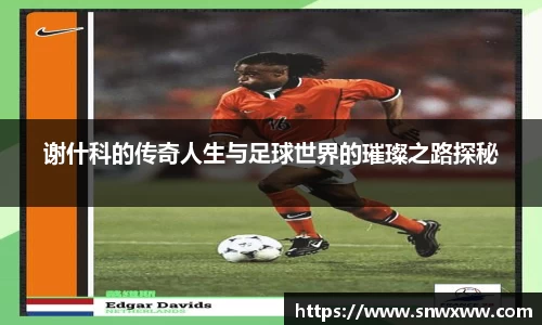 谢什科的传奇人生与足球世界的璀璨之路探秘